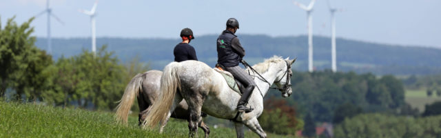 30 05 2014 Oberoderwitz Sachsen GER Frauen machen einen Ausritt Pferdehof am Spitzberg Pferd 30.05.2014, Oberoderwitz, Sachsen, GER - Frauen machen einen Ausritt. Pferdehof am Spitzberg. (Pferd, Reiten, Pferdesport, Reitsport, Ausreiten, Reiterin, Freizeitreiterin, Freizeitsport, Hobbysport, Freizeitreiten, Sport, Breitensport, Amateursport, reiten, Freizeit, Hobby, Warmblut, Warmblueter, Ausritt, ausreiten, Gangart, Kappe, Reithelm, Reitkappe, Sturzhelm, Sturzkappe, entspannen, Entspannung, erholen, Erholung, Natur, Reitpferd, Unternehmung, Jahreszeit, Sommer, Schritt, Pony, Schimmel, Landschaft, Weite, Horizont, Frauen, Wiese, Windraeder, Windkraftanlage, Windrad, bergab, hinab, herunter, hinunter, Gefaelle, Windr‰der, Gef‰lle, Warmbl¸ter) 517D300514ODERWITZ.JPG GALOPP 30 05 2014 Upper Oderwitz Saxony ger Women make a Horseback Horse at Spitzberg Horse riding Equestrian sports Horse riding ausreiten Horsewoman recreational rider leisure sports Amateur sport Leisure riding Sports Popular sport riding Leisure Hobby Warm blood Warm-blooded Horseback ausreiten gaits gangart Cap Reithelm Reitkappe Helmet Relax Relaxation Relax Recreation Nature Horses Company Season Summer Step Pony Mold Landscape wideness Horizon Women Meadow Wind Raeder Wind turbine Windmill downhill down down down Gap Wind turbines Gap Warm-blooded JPG Gallop 