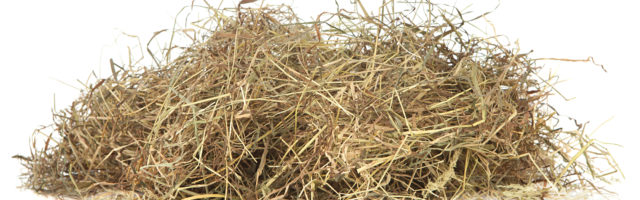 Meadow hay Meadow hay on white 