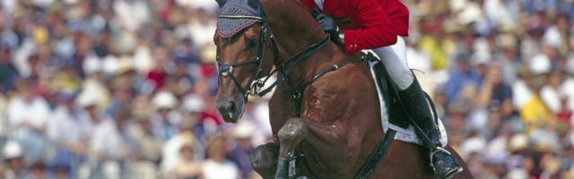 Ludger Beerbaum und Goldfever konnten in Sydney 2000 eine Goldmedaille im deutschen Team gewinnen zusammen mit den Team Ludger Beerbaum und Goldfever konnten in Sydney 2000 eine Goldmedaille im deutschen Team gewinnen zusammen mit den Team-Mitgliedern Otto Becker Marcus Ehning Lars Nieberg Goldfever ersprang bis zu seinem Abschied vom 2009 insgesamt 2,3 Mio Euro Preisgeld *** Ludger Beerbaum and Goldfever won a gold medal in the German team in Sydney 2000 together with the team members Otto Becker Marcus Ehning Lars Nieberg Goldfever won a total of 2.3 million euros in prize money until his departure from sport in 2009. 