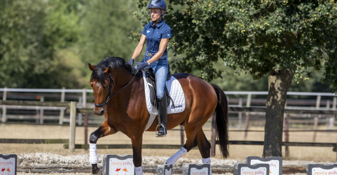 Münster - Ingrid Klimke Grundgangarten verbessern 2018 KLIMKE Ingrid (GER) Münster - Ingrid Klimke Grundgangarten verbessern 2018 07. August 2018 © www.sportfotos-lafrentz.de/Stefan Lafrentz 