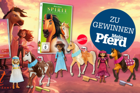 Mein Pferd De Gewinnspiel