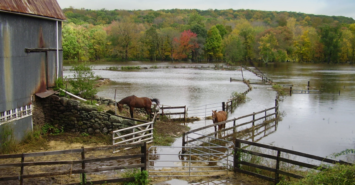 Flooded Farmland Willimantic River has overflowed its banks after 9 days of non-stop rain. Connecticut, October 2005. 