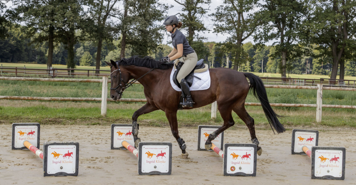 MÜNSTER - fortgeschrittene Springausbildung 2019 MÜNSTER - fortgeschrittene Springausbildung 2019 Cavalettiübungen, leichter Sitz Münster-Handorf, Westfälische Reit- und Fahrschule 13. August 2019 © www.sportfotos-lafrentz.de/Stefan Lafrentz 