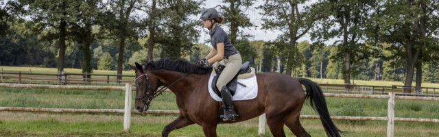 MÜNSTER - fortgeschrittene Springausbildung 2019 MÜNSTER - fortgeschrittene Springausbildung 2019 Cavalettiübungen, leichter Sitz Münster-Handorf, Westfälische Reit- und Fahrschule 13. August 2019 © www.sportfotos-lafrentz.de/Stefan Lafrentz 