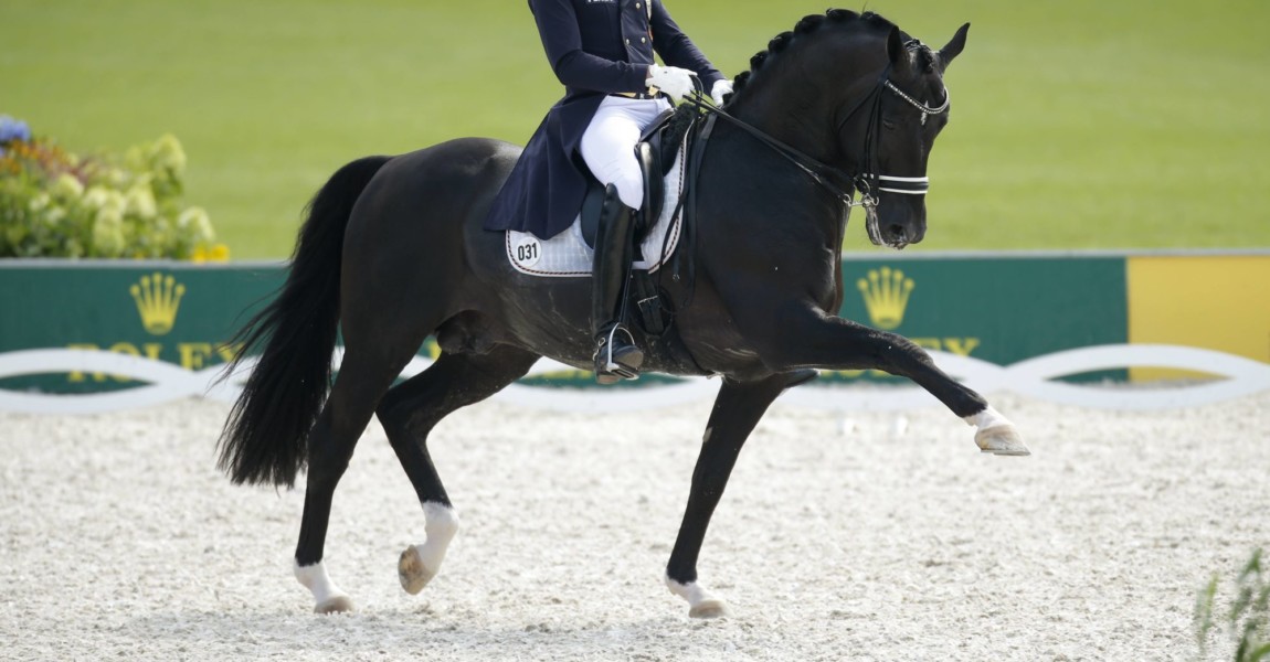 Aachen Europameisterschaften 2015 Rath Matthias Alexander GER Totilas Aachen - Europameisterschaften 2015, Rath, Matthias Alexander (GER) - Totilas Aachen European Championships 2015 Rath Matthias Alexander ger Totilas 