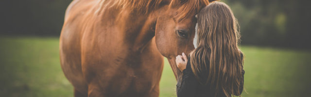 Cute,Little,Girl,With,Her,Horse,On,A,Lovely,Meadow Cute little girl with her horse on a lovely meadow lit by warm evening light 