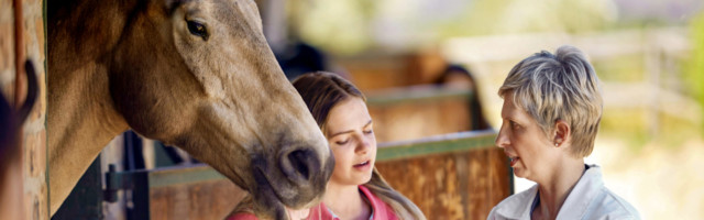 Veterinarian with digital tablet talking to teenage girl at stable model released Symbolfoto propert Veterinarian with digital tablet talking to teenage girl at stable model released Symbolfoto property released PUBLICATIONxINxGERxSUIxAUTxHUNxONLY ZEF001760 Veterinarian With Digital Tablet Talking to Teenage Girl AT stable Model released Symbolic image Property released PUBLICATIONxINxGERxSUIxAUTxHUNxONLY ZEF001760 