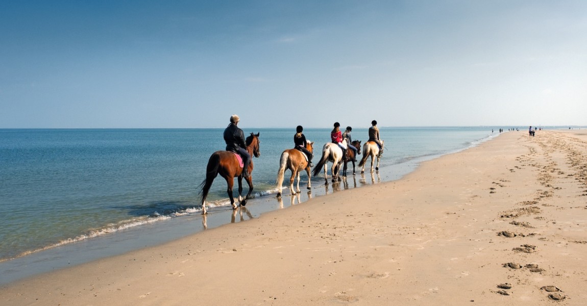 Reiter am Strand Gruppe von Reitern am Strand 