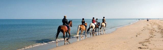 Reiter am Strand Gruppe von Reitern am Strand 