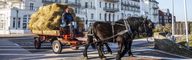 Nordseeinsel Juist Ostfriesland Inseltypische Pferdekutsche als Transportmittel Kurhaus Hotel N Nordseeinsel Juist, Ostfriesland, Inseltypische Pferdekutsche, als Transportmittel, Kurhaus Hotel, Niedersachsen, Deutschland, *** North Sea island Juist Ostfriesland island typical horse-drawn carriage as means of transport Kurhaus Hotel Niedersachsen Germany 