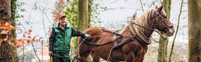 Holzrücken für das Mein Pferd Magazin Foto: DANIEL ELKE 