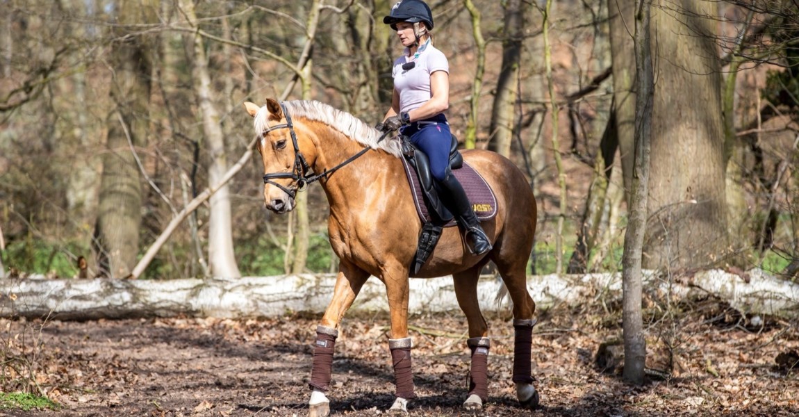 ROHLDORF - Wald und Wiese Trainingsideen mit Julia Mestern 2018 ROHLDORF - Wald und Wiese Trainingsideen mit Julia Mestern 2018 MESTERN Julia (GER) Kraft- und Konditionstraining im Wald Kehrtwende Rohldorf, Reitanlage Mestern 17. April 2018 © www.sportfotos-lafrentz.de/Stefan Lafrentz 