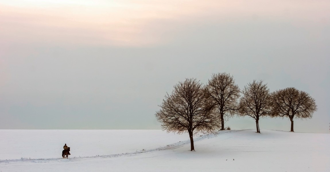 imago51399133h Bildnummer: 51399133 Datum: 01.12.2005 Copyright: imago/imagebroker Einsamer Reiter inmitten einer Schneelandschaft, Personen, Tiere, Ruhe, Einsamkeit; 2005, winterlich, winterliche, Abend, abends, Winterlandschaft, Winterlandschaften, Schnee, verschneit, verschneite, Schneelandschaft, Felder, Feld, schneebedeckt, schneebedeckte, Pferd, Pferde, Ausritt, reiten, Pferd, Pferde, S‰ugetiere, Baumgruppe, Erholung,; , quer, Kbdig, Winter, Jahreszeit, Totale, Deutschland, , o0 Highlight; Aufnahmedatum gesch‰tzt 