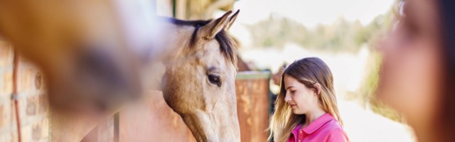 Teenage girl caring for horse in stable model released Symbolfoto property released PUBLICATIONxINxG Teenage girl caring for horse in stable model released Symbolfoto property released PUBLICATIONxINxGERxSUIxAUTxHUNxONLY ZEF001757 Teenage Girl Caring for Horse in stable Model released Symbolic image Property released PUBLICATIONxINxGERxSUIxAUTxHUNxONLY ZEF001757 