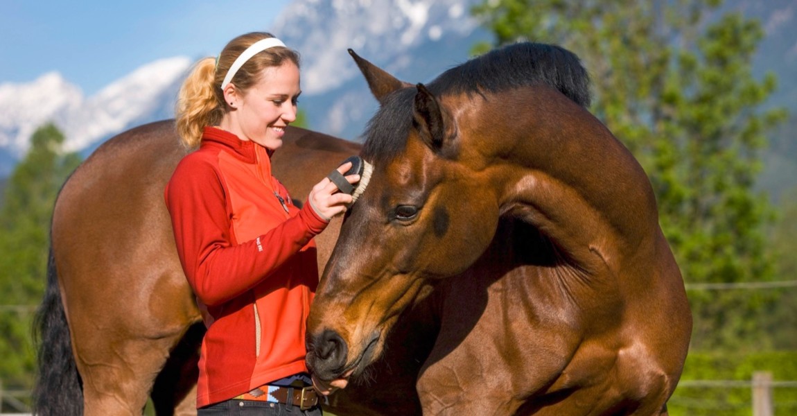 imago_imagebroker_0059635319h Bildnummer: 59635319 Datum: 25.04.2009 Copyright: imago/imagebroker Junge Frau putzt ÷sterreichisches Warmblut, Brauner, ÷sterreich, Europa 01 xmk x0x 2009 quer model released Symbolfoto 1 Tier 30-34 Jahre Auﬂenaufnahme drauﬂen eine Person ein Mensch einzelne einzelner einzelnes Equidae Erwachsene Europa Frauen Frau mittleren Alters hellh‰utiger hellh‰utige hellh‰utiges hellh‰utig Kaukasier kaukasisches Aussehen liebevoller liebevolle liebevolles liebevoll Mammalia Menschen Perissodactyla Pferderassen Pferderasse Pferde Pferd putzend putzen putzt putzender putzende putzendes Rassen Rassepferde Rassepferd Rasse reinigend reinigen reinigt reinigender reinigende reinigendes reinrassiger reinrassige reinrassiges reinrassig S‰ugetiere S‰ugetier tags¸ber Tag Tiere tierfreundlicher tierfreundliche tierfreundliches tierfreundlich tierlieber tierliebe tierliebes tierlieb Unpaarhufer Unpaarzeher Warmblutpferd Warmblut Warmbl¸ter z‰rtlicher z‰rtliche z‰rtliches Z‰rtlichkeit z‰rtlich ÷sterreich 59635319 Date 25 04 2009 Copyright Imago image broker Boy Woman chops Austrian Warm blood Brauner Austria Europe 01 xmk x0x 2009 horizontal Model released Symbolic image 1 Animal 30 34 Years Outside view outside a Person a Man Individuals single single Equidae Adults Europe Women Woman medium Age hellh‰utiger hellh‰utige fair-skinned hellh‰utig Caucasians Kaukasisches Look Full of love Loving Love Volles loving Mammalia People Perissodactyla Horse races Horse race Horses Horse putzend cleaning chops putzender putzende putzendes Breeds Race horses Race horse Race cleansing clean cleans cleaning clean clean pure Pure Reinrassiges purebred Mammals Mammal during the day Day Animals animal-friendly animal-friendly animal-friendly pet friendly tierlieber Animal lovers tierliebes animals Unpaarhufer Warm blood horse Warm blood Warm-blooded tender tender Z‰rtliches Tenderness tenderly Austria 