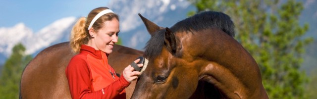 imago_imagebroker_0059635319h Bildnummer: 59635319 Datum: 25.04.2009 Copyright: imago/imagebroker Junge Frau putzt ÷sterreichisches Warmblut, Brauner, ÷sterreich, Europa 01 xmk x0x 2009 quer model released Symbolfoto 1 Tier 30-34 Jahre Auﬂenaufnahme drauﬂen eine Person ein Mensch einzelne einzelner einzelnes Equidae Erwachsene Europa Frauen Frau mittleren Alters hellh‰utiger hellh‰utige hellh‰utiges hellh‰utig Kaukasier kaukasisches Aussehen liebevoller liebevolle liebevolles liebevoll Mammalia Menschen Perissodactyla Pferderassen Pferderasse Pferde Pferd putzend putzen putzt putzender putzende putzendes Rassen Rassepferde Rassepferd Rasse reinigend reinigen reinigt reinigender reinigende reinigendes reinrassiger reinrassige reinrassiges reinrassig S‰ugetiere S‰ugetier tags¸ber Tag Tiere tierfreundlicher tierfreundliche tierfreundliches tierfreundlich tierlieber tierliebe tierliebes tierlieb Unpaarhufer Unpaarzeher Warmblutpferd Warmblut Warmbl¸ter z‰rtlicher z‰rtliche z‰rtliches Z‰rtlichkeit z‰rtlich ÷sterreich 59635319 Date 25 04 2009 Copyright Imago image broker Boy Woman chops Austrian Warm blood Brauner Austria Europe 01 xmk x0x 2009 horizontal Model released Symbolic image 1 Animal 30 34 Years Outside view outside a Person a Man Individuals single single Equidae Adults Europe Women Woman medium Age hellh‰utiger hellh‰utige fair-skinned hellh‰utig Caucasians Kaukasisches Look Full of love Loving Love Volles loving Mammalia People Perissodactyla Horse races Horse race Horses Horse putzend cleaning chops putzender putzende putzendes Breeds Race horses Race horse Race cleansing clean cleans cleaning clean clean pure Pure Reinrassiges purebred Mammals Mammal during the day Day Animals animal-friendly animal-friendly animal-friendly pet friendly tierlieber Animal lovers tierliebes animals Unpaarhufer Warm blood horse Warm blood Warm-blooded tender tender Z‰rtliches Tenderness tenderly Austria 