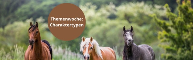 MPF Themenwoche Charaktertypen 