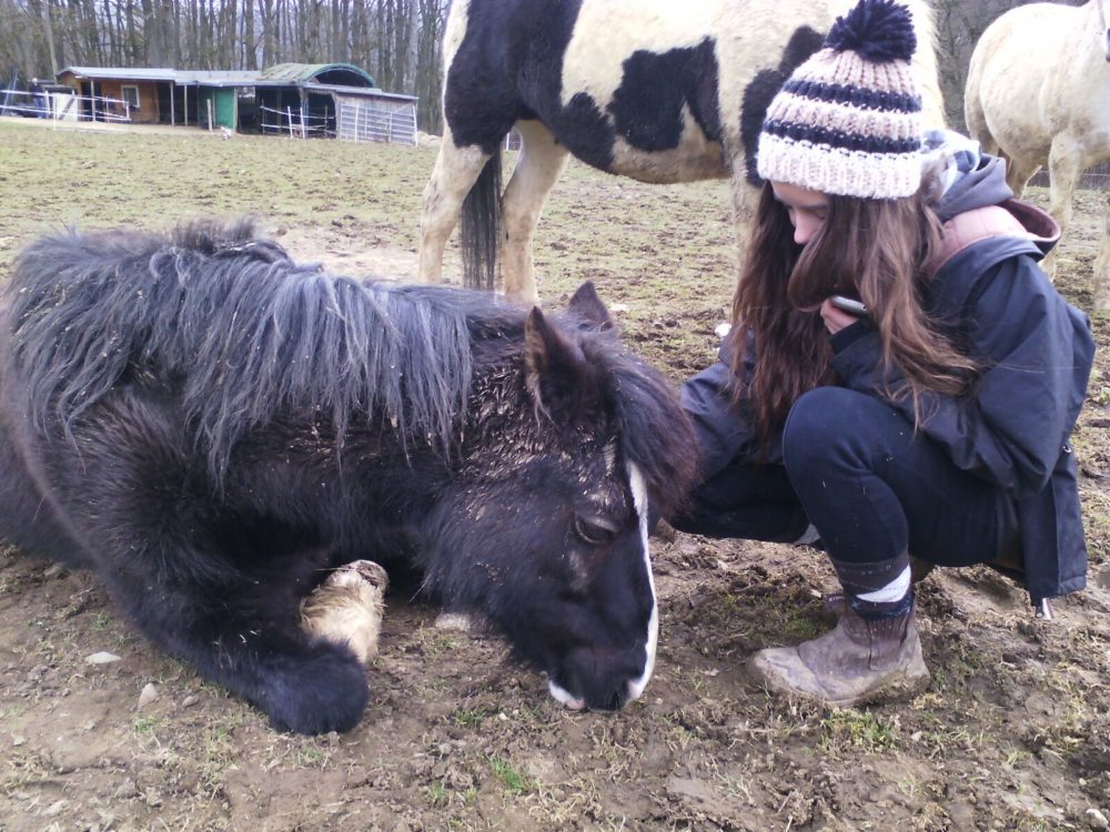 Friends 4 ever :) - Mein Pferd – Mein Freund