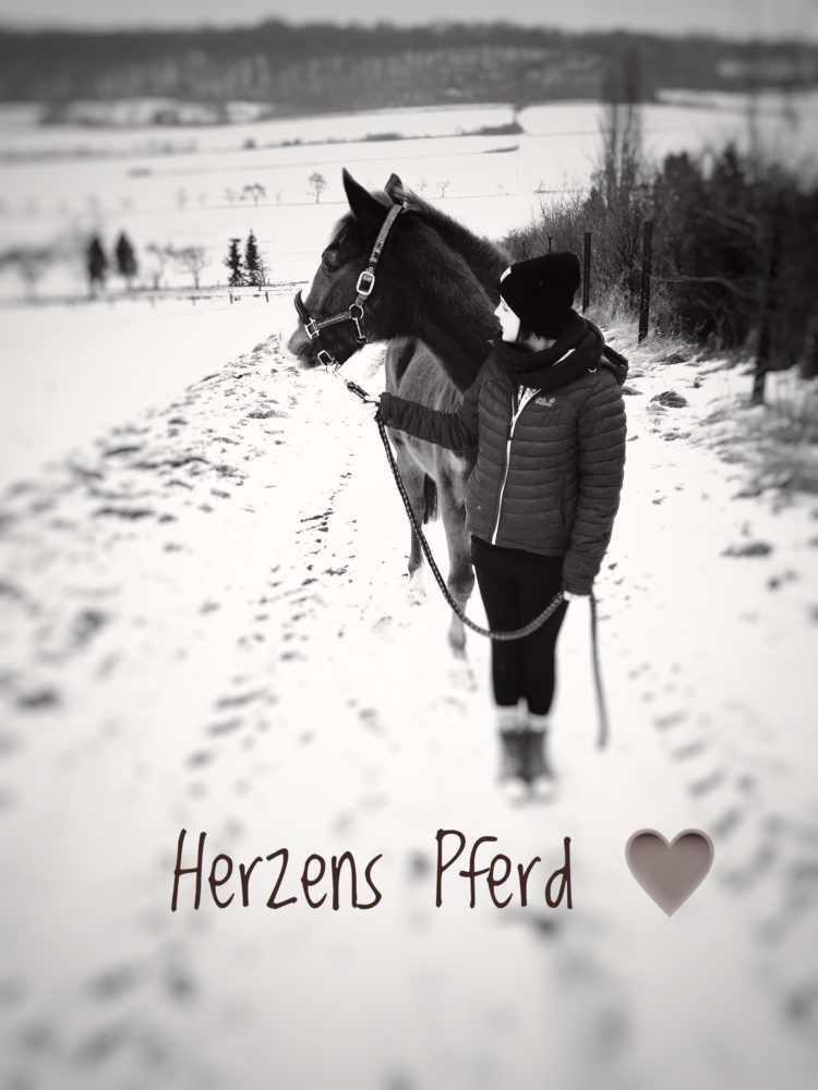 Herzens Pferd