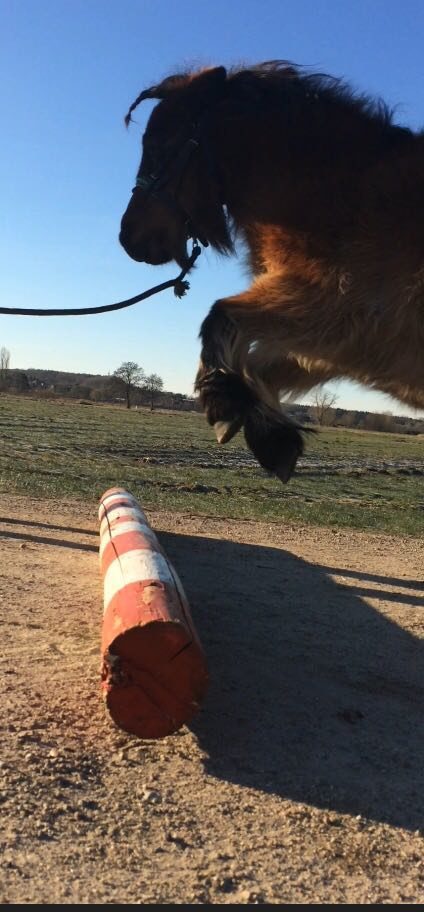 Sprung ins Glück