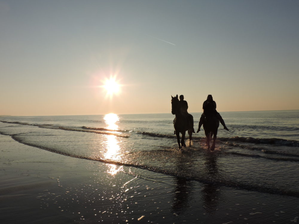 Im Sonnenuntergang am Strand