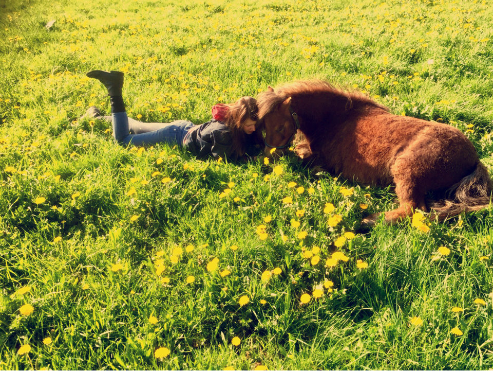 Ein Pferd gehört dem, der es am meisten liebt