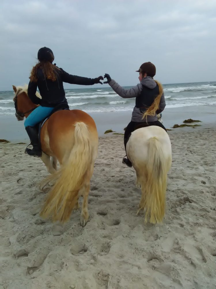 Ein gemeinsamer Ritt am Strand!😙 - Mein Pferd – Mein Freund