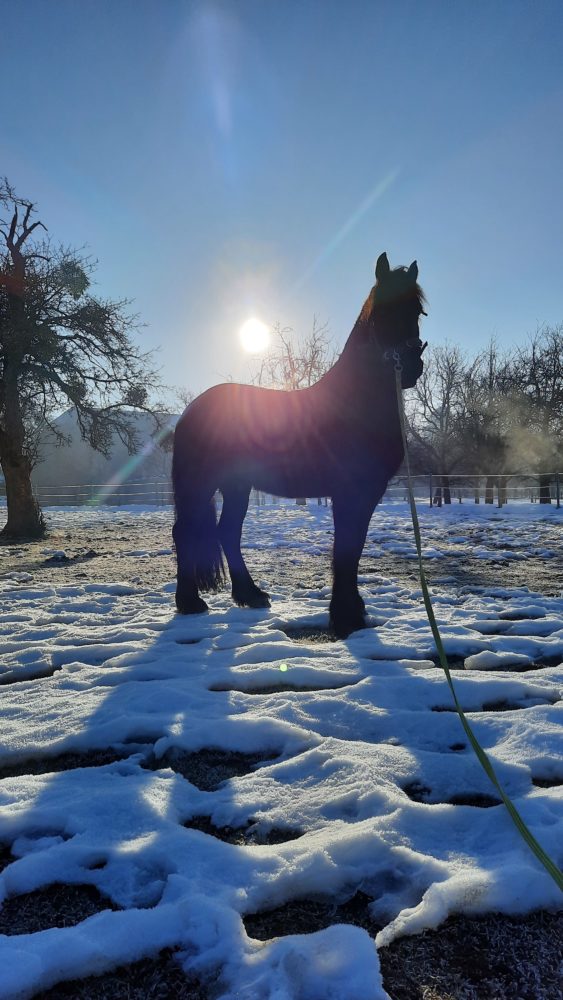 Snow and sun