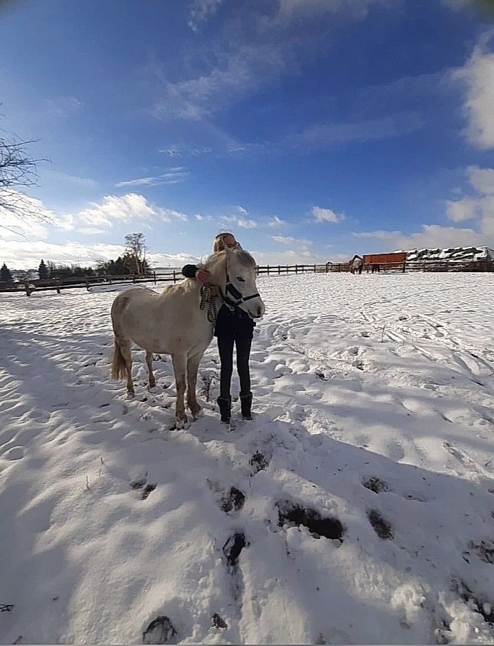 Mein Schneepony