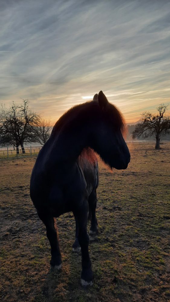 Sonnenuntergang