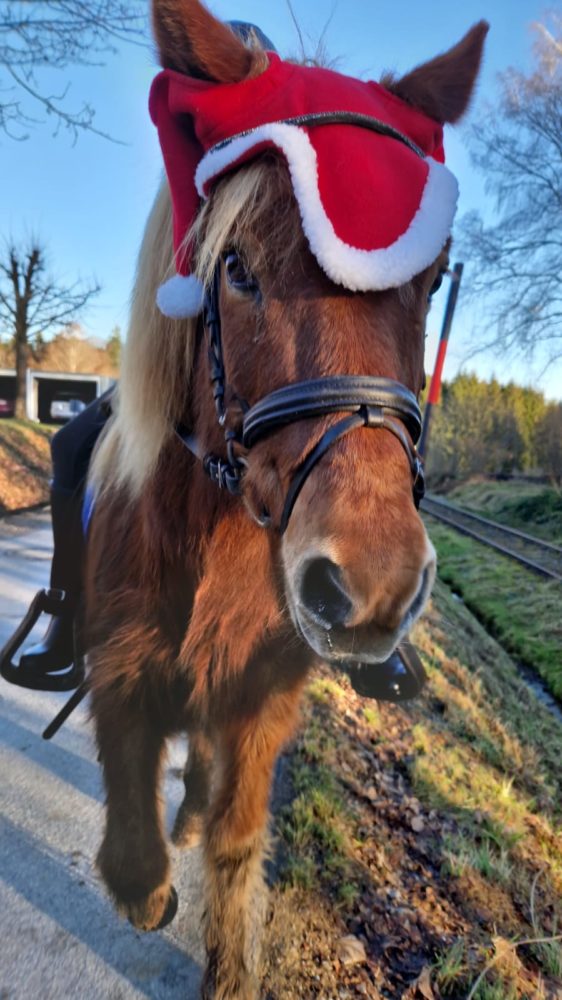 Ritt mit Weihnachtspony