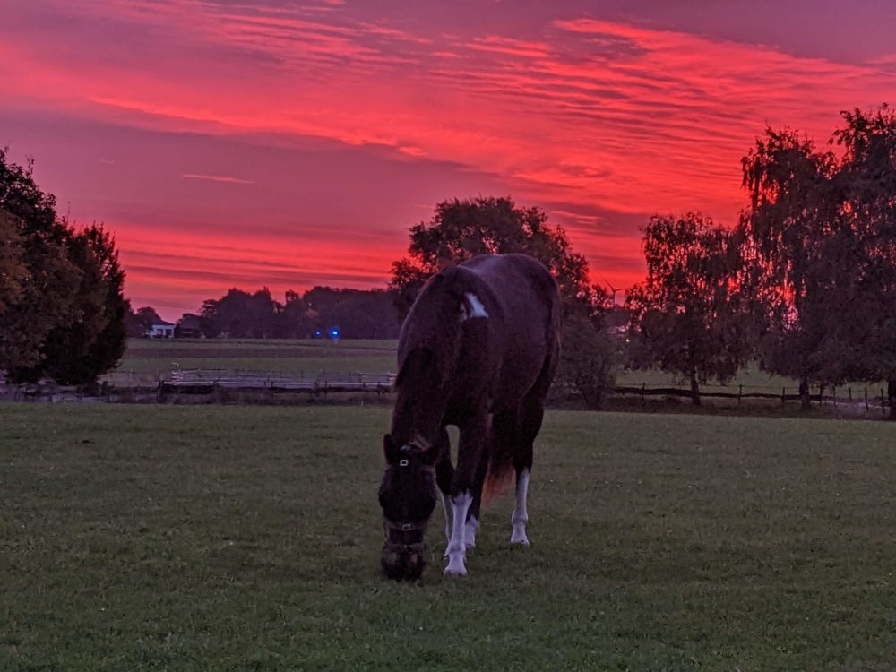 Sonnenaufgang