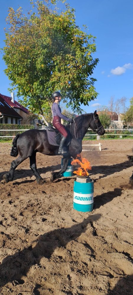 Gemeinsam durchs Feuer