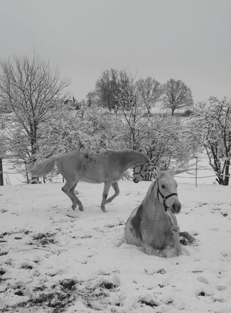 Schneespaß