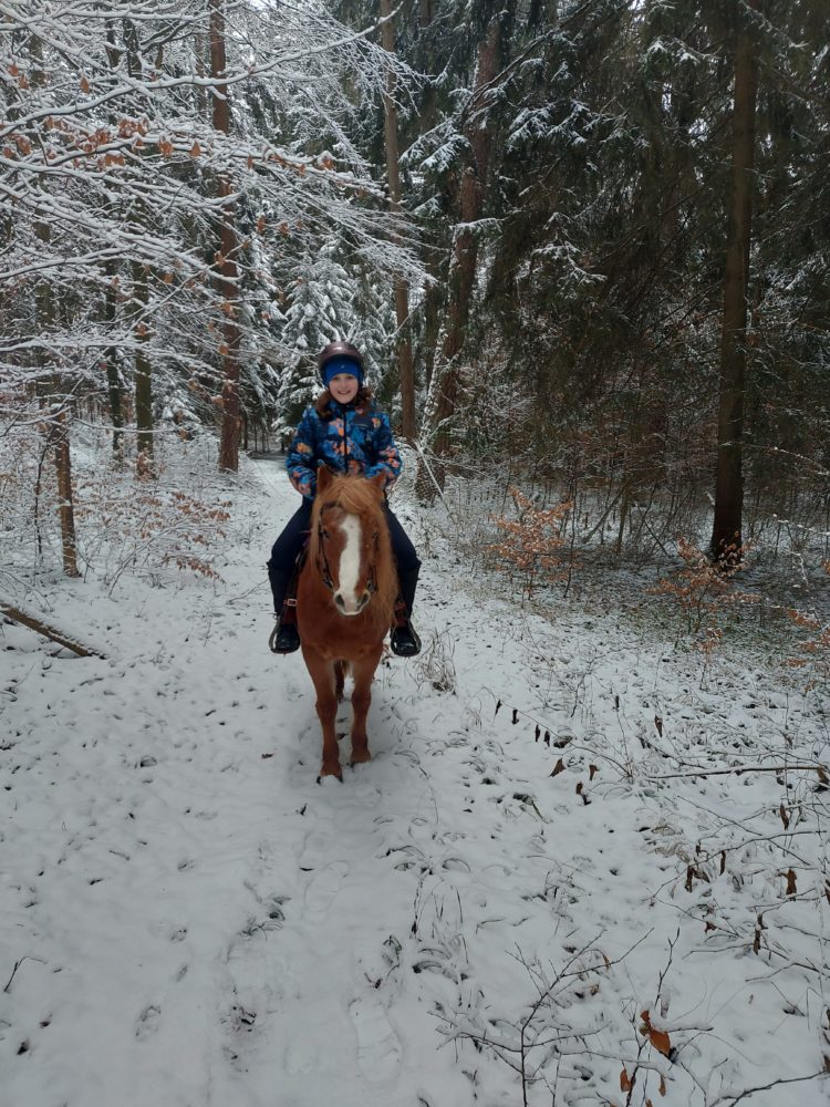 Ponyteam im Winterwald